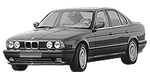 BMW E34 P1675 Fault Code